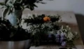 4930a3624ba6a0fc38dfa4ac2647.webp