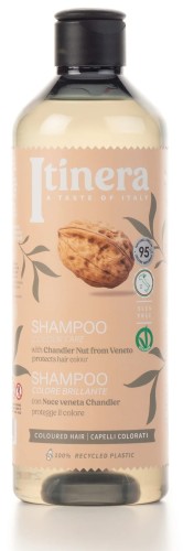 BC_EIP350SCT zampon z orzechem Chandler z Veneto.jpg