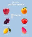 Itinera - produkty z jakich powstaje OK.jpg